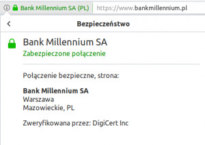 Okno zabezpieczenia certyfikatem dv strony internetowej