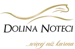 Logo dolina-noteci.pl