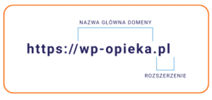 Wykres przedstawia umiejscowienie nazwy głównej domeny oraz rozszerzenia w linku.